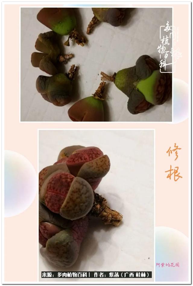 广西河沙洗砂机