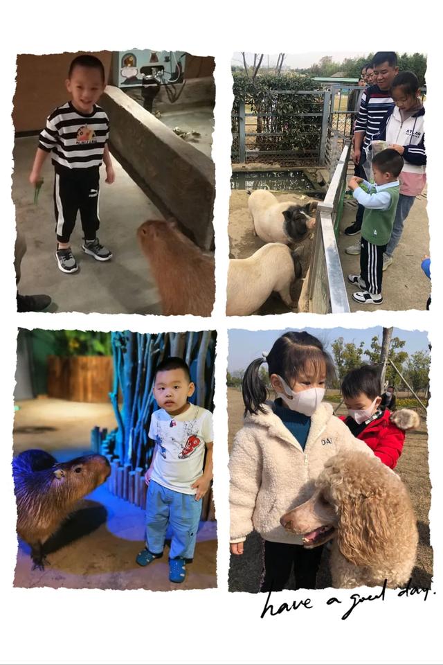 我和我的动物朋友——友联幼儿园小班年级主题活动