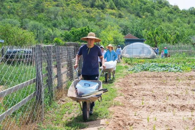 情侣住荒野7年租30亩地自耕自食