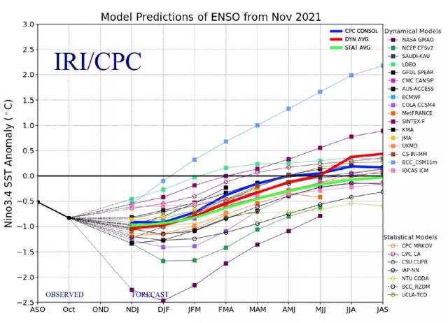 棉花年报：大转移、大拐点