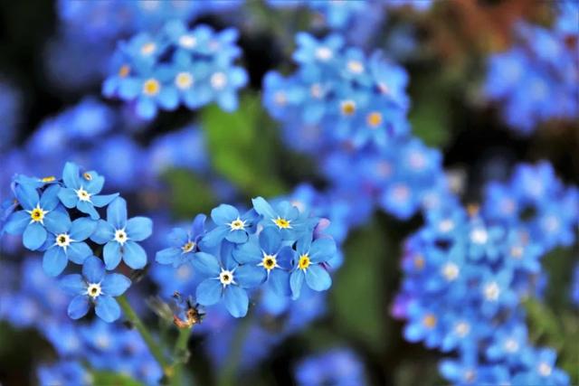 4月26日早安晚安图文