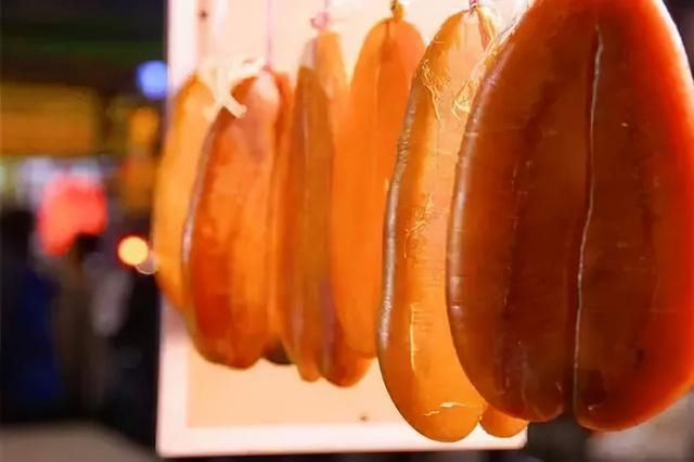 鯔魚是什么魚？鯔魚是底層魚還是上層魚，認準這幾點沒有錯