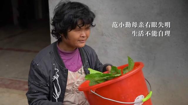 2022年，“小马云”重现网络世界，是新生活还是又一轮炒作？