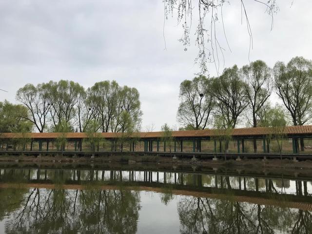 闲煮光阴慢品茶 从容不迫度年华