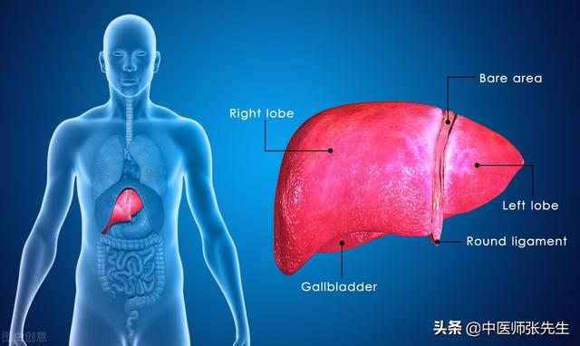 中医治肝病，为什么要先治脾？