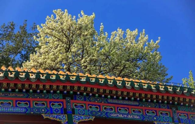 5月旅游推荐
