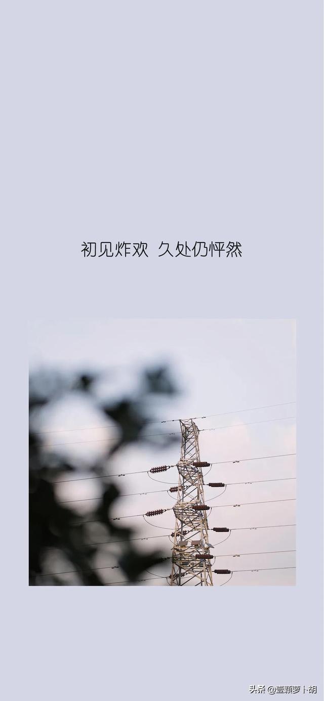 总有一句你喜欢的文案，我最喜欢第八句