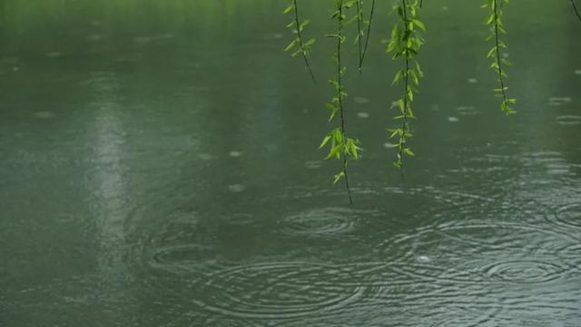 清明时节前后《养生攻略》之：养肝舒心“常饮四汤，常揉两穴”