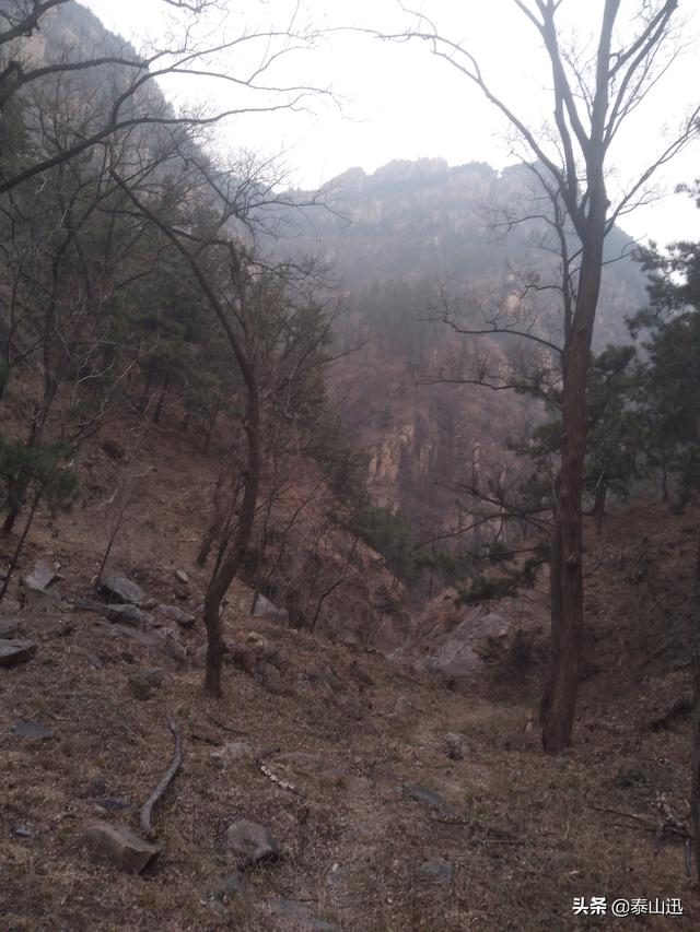 驢行泰山之黃崖山西山梁橫嶺