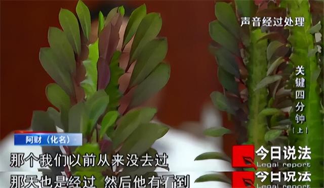 厦门男子酒后按摩猝死，家属索赔70余万，法院判决赢得掌声