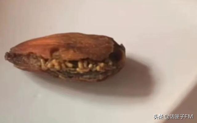 头皮发麻！坚果吃出密密麻麻的虫卵，客服回应：无法避免
