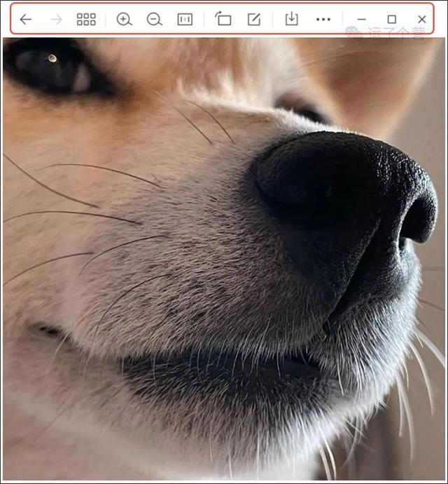 微信怎么共享视频播放-微信上的视频怎样共享