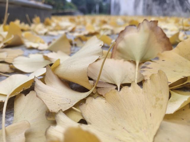 大勇若怯，大智若愚！物竞天择，适者生存