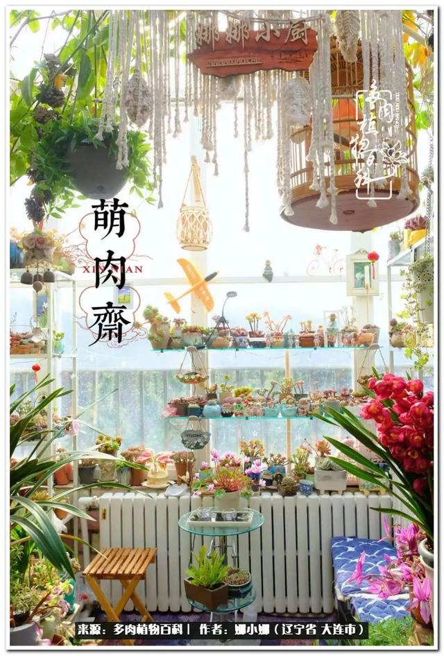 辽宁螺旋洗砂机出售