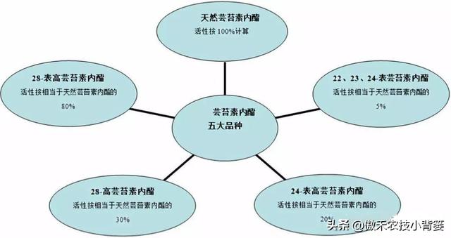 如何正确认识、正确挑选与正确使用芸苔素内酯？注意这几点4