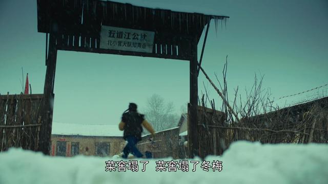 人世间：周秉昆众叛亲离，周蓉力排众议，周秉义的婚姻真相更残酷