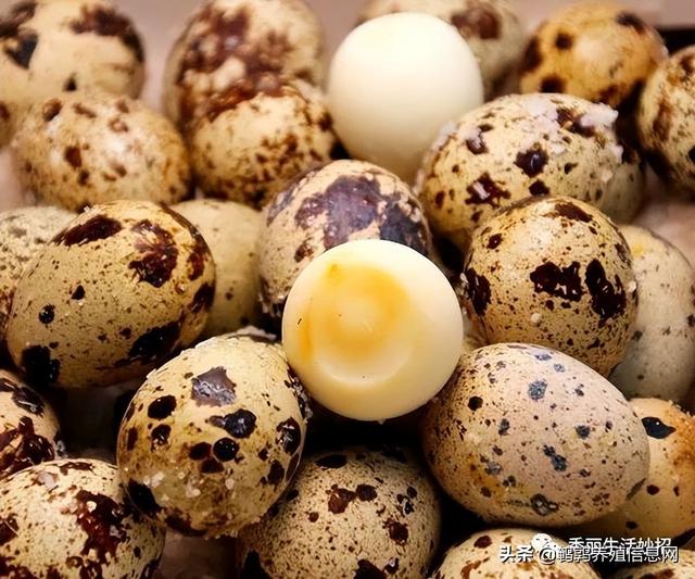 ​鹌鹑蛋被誉为“蛋中皇冠”，每天当“零食”吃点，3大好处找上门