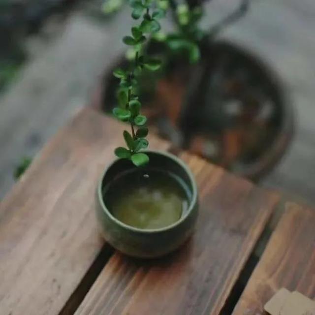 一些晴雨天