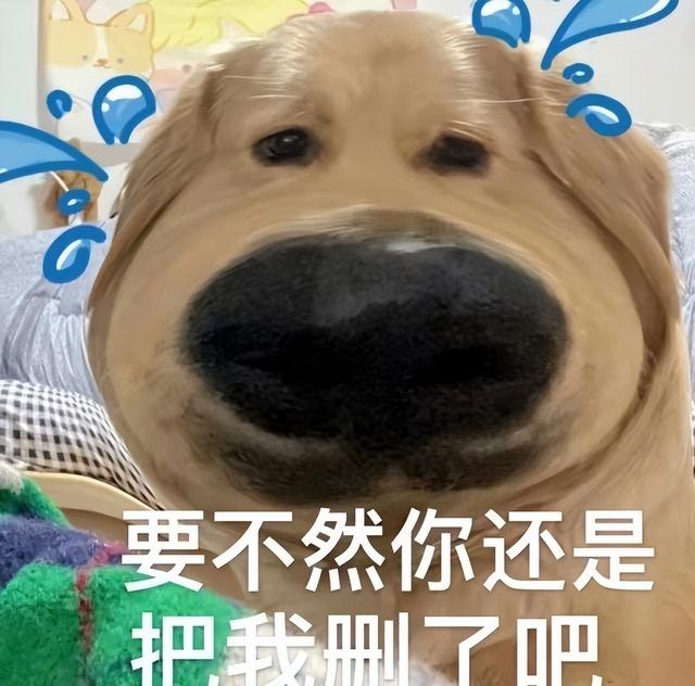 安卓阵营市场缩水仍是老大，苹果偷家用户暴涨，鸿蒙用户狂揽1亿
