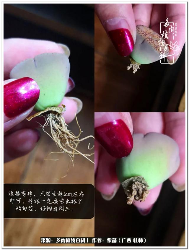 桂林滚筒式洗砂机厂家