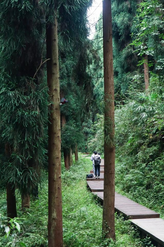 成都周边旅游