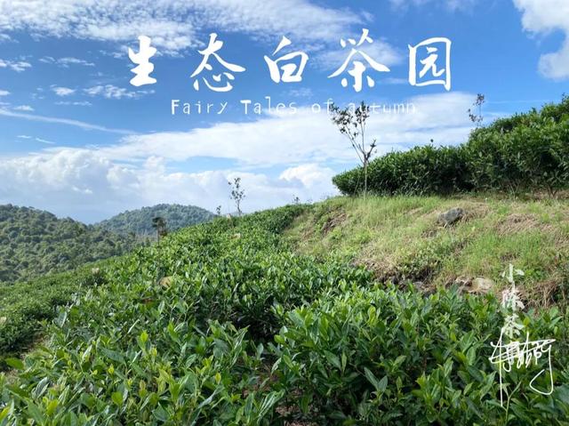 普洱洗砂机厂家价格的简单介绍
