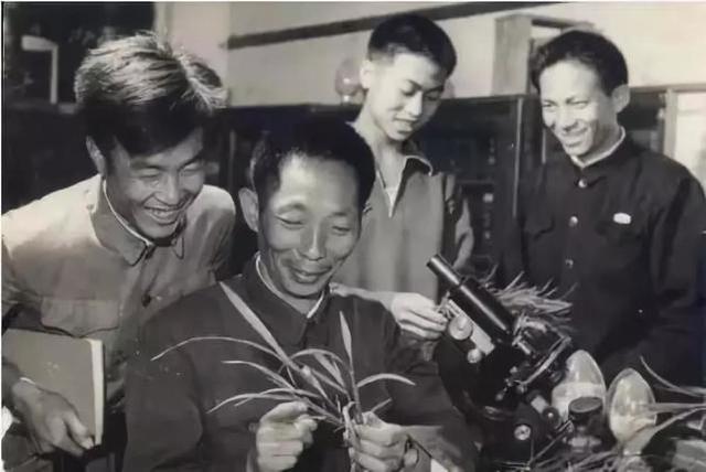 为什么诺贝尔奖这么多年未提名袁隆平？成果造福世界，却败给现实
