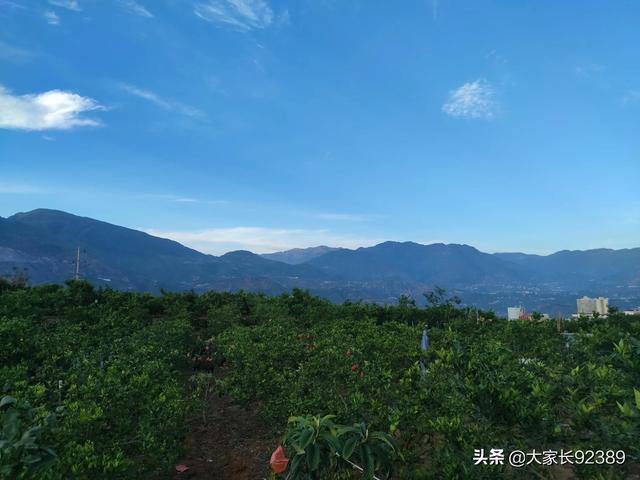 七言：立夏
