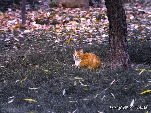 人过50：看淡一切，善待自己；珍惜拥有，知足长乐，余生才能安澜