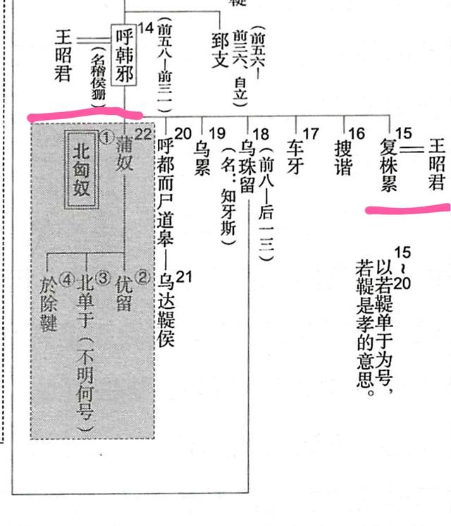 历史小课堂一问一答西汉篇：汉武帝的执念，追打44年的匈奴咋回事