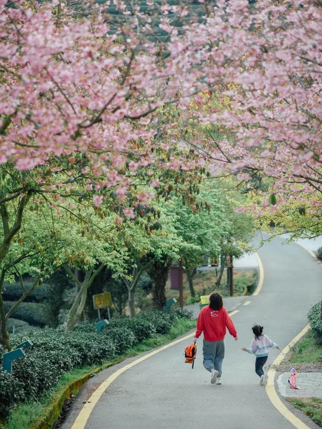 小夫妻在5.9㎡阳台种菜，疫情下蔬果不断15