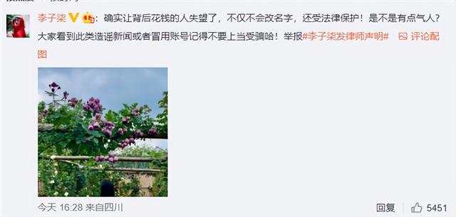 停更290天的李子柒，已被迫改名？李子柒最新发声