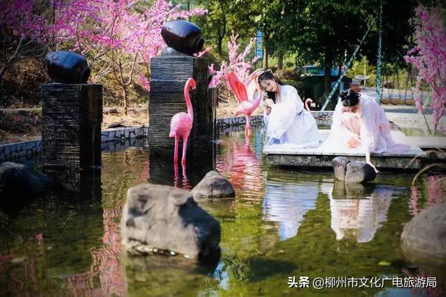 雙龍溝最全打卡攻略出爐，推給朋友絕對沒錯！