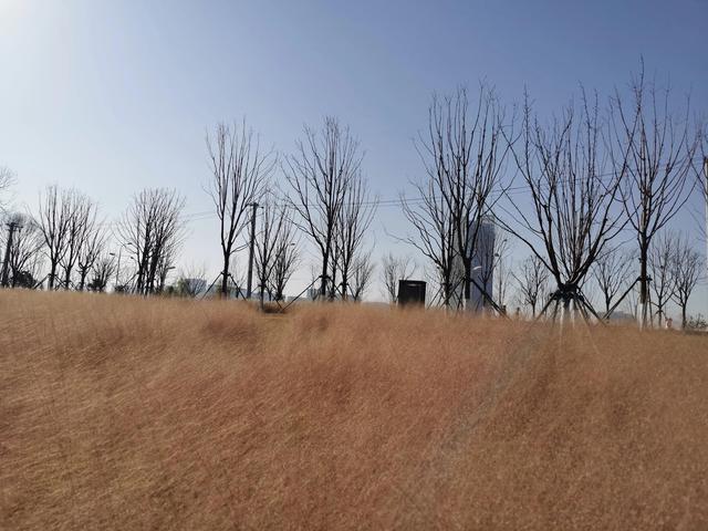 東郊新晉網紅公園，和灞河東路一起稱霸朋友圈