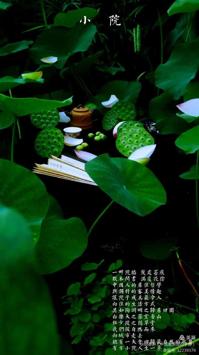 我的农家小院 （胡春笋）