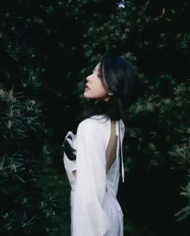 学会放下，种慢慢盛开的花，这才是真正的大赢家