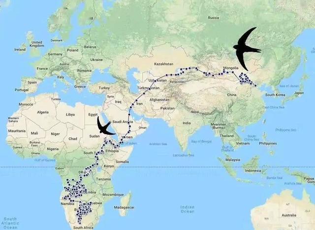 头皮发麻鸡皮疙瘩