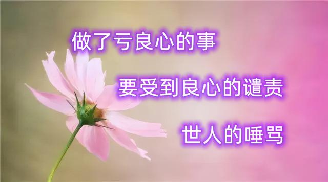 良心做人，良心做事，问心无愧，心安一生
