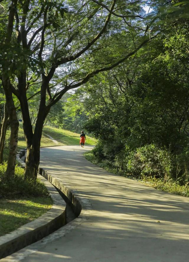 围岭公园爬山记 围岭公园攻略 - 云知网