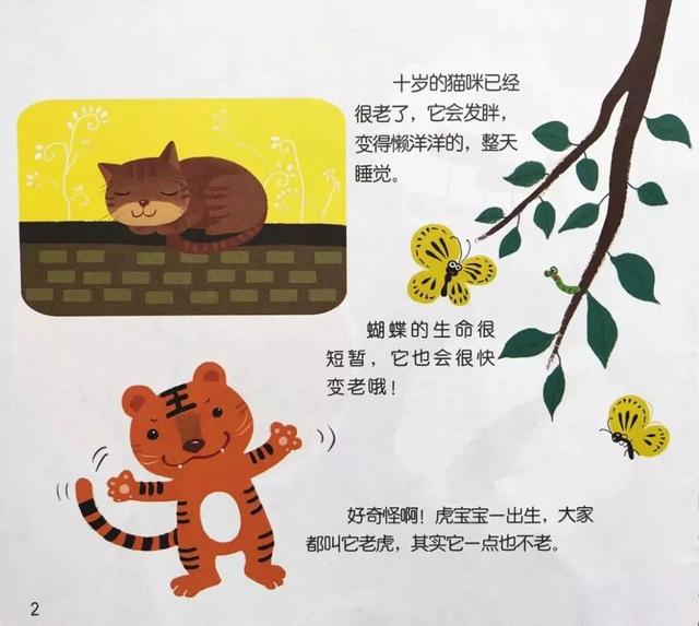 幼儿园清明节活动总结，清明节体验活动的活动内容？