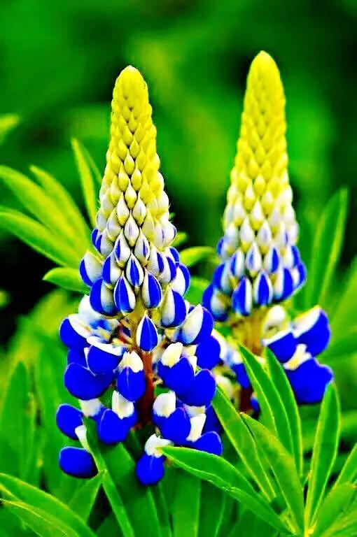 当妈是一场修行，心酸痛苦自知