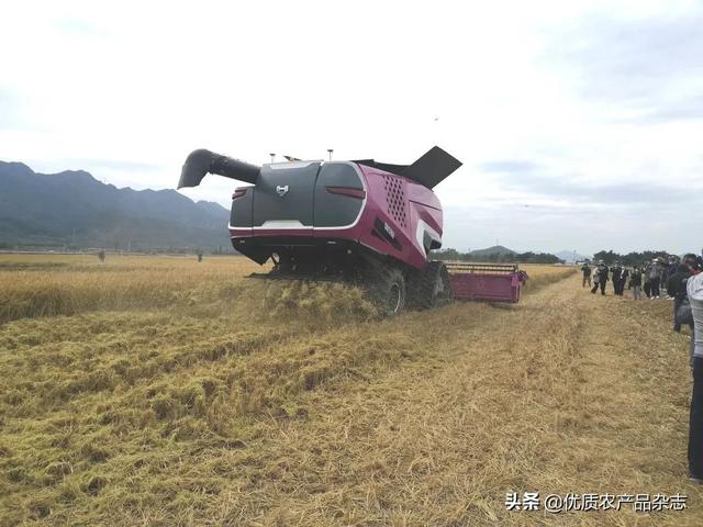 碧桂园又有大动作！自主研发无人拖拉机收获机亮相演示，无人化农场概念落地成真