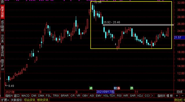 A股特种电机龙头，风能、建机市占率第一，还拥有1亿吨锂矿资源