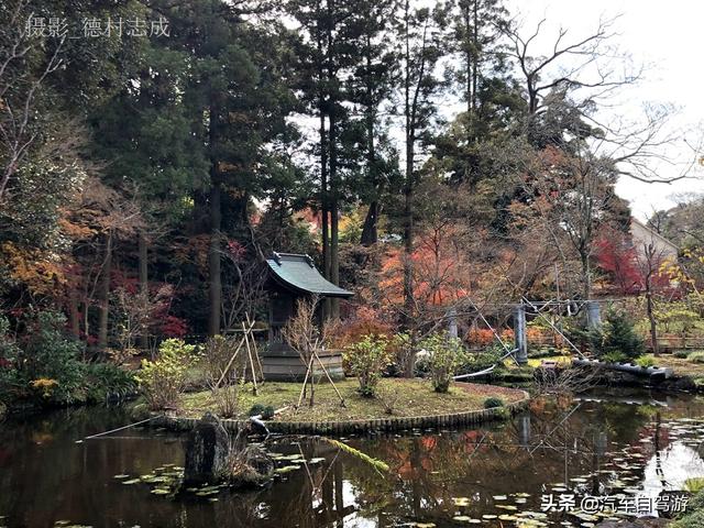 德村志成：落葉殘楓依然美麗，久違北小金本土寺