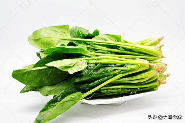 春分时节，建议老年人少吃补品，多吃“4种春菜”，平安幸福1整年