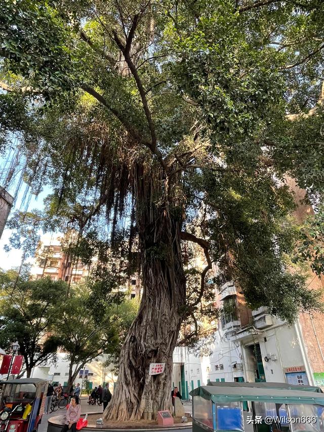 东莞有一个细村市场，里面东西很便宜，很多人都喜欢来这里买买买26