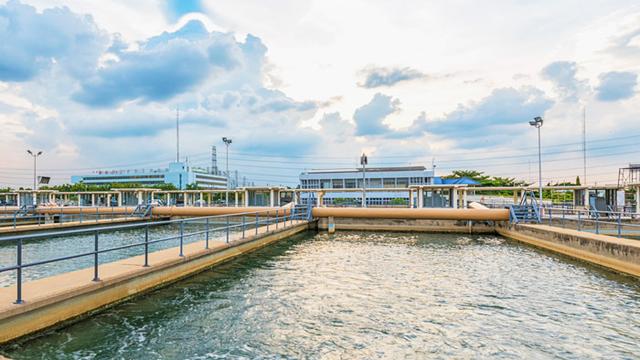 污泥脱水真空带式压滤机价格