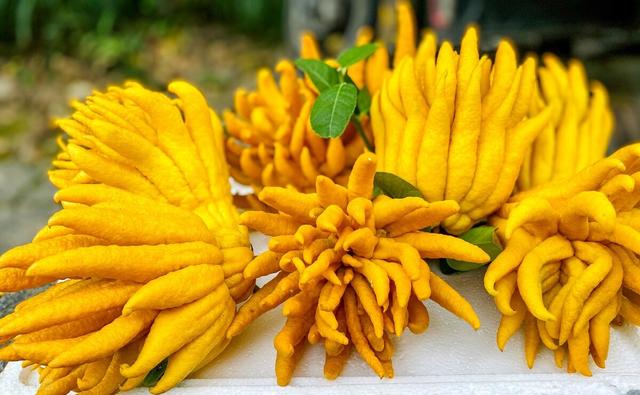 汕头液压压滤机厂