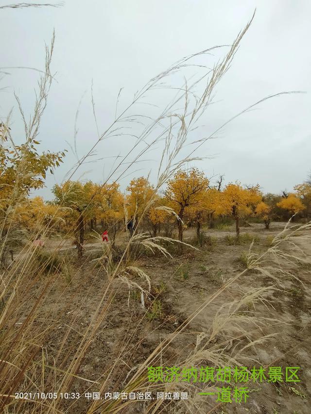 西行漫記之10月5日內蒙古篇