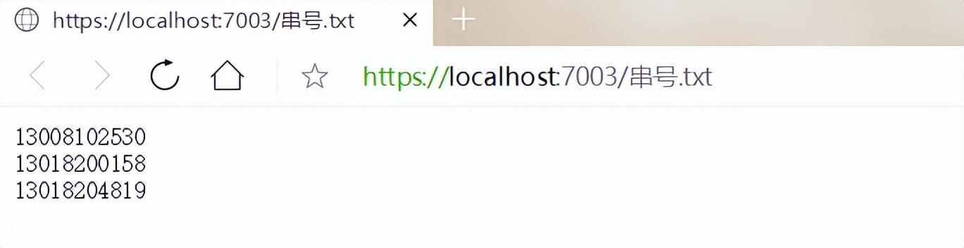 .NET6 中的静态文件怎么搞？